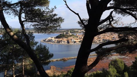 Couvreur Gruissan