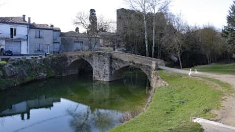 Couvreur Mas-des-Cours