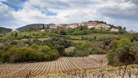 Couvreur Montgaillard