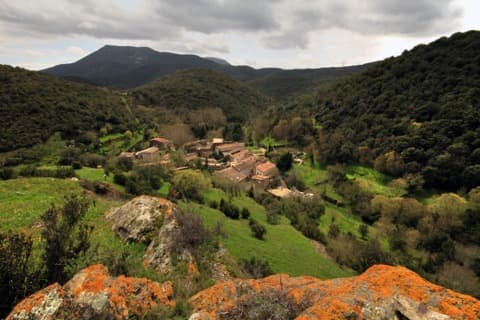 Couvreur Palairac