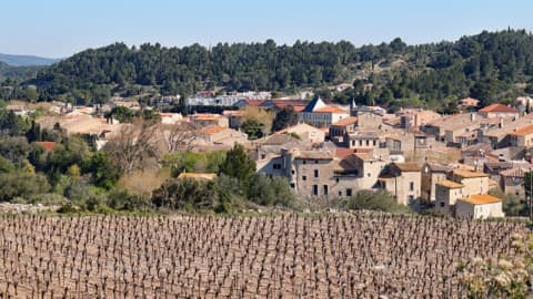 Couvreur Portel-des-Corbières