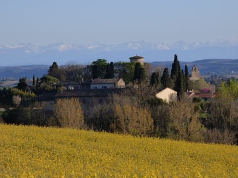 Couvreur Puginier