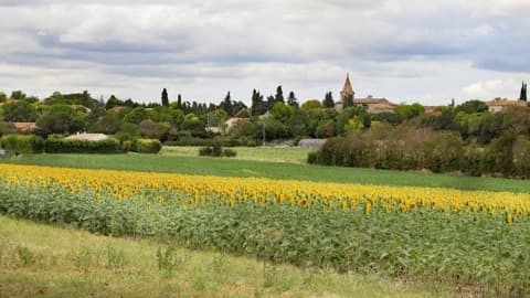Couvreur Souilhanels